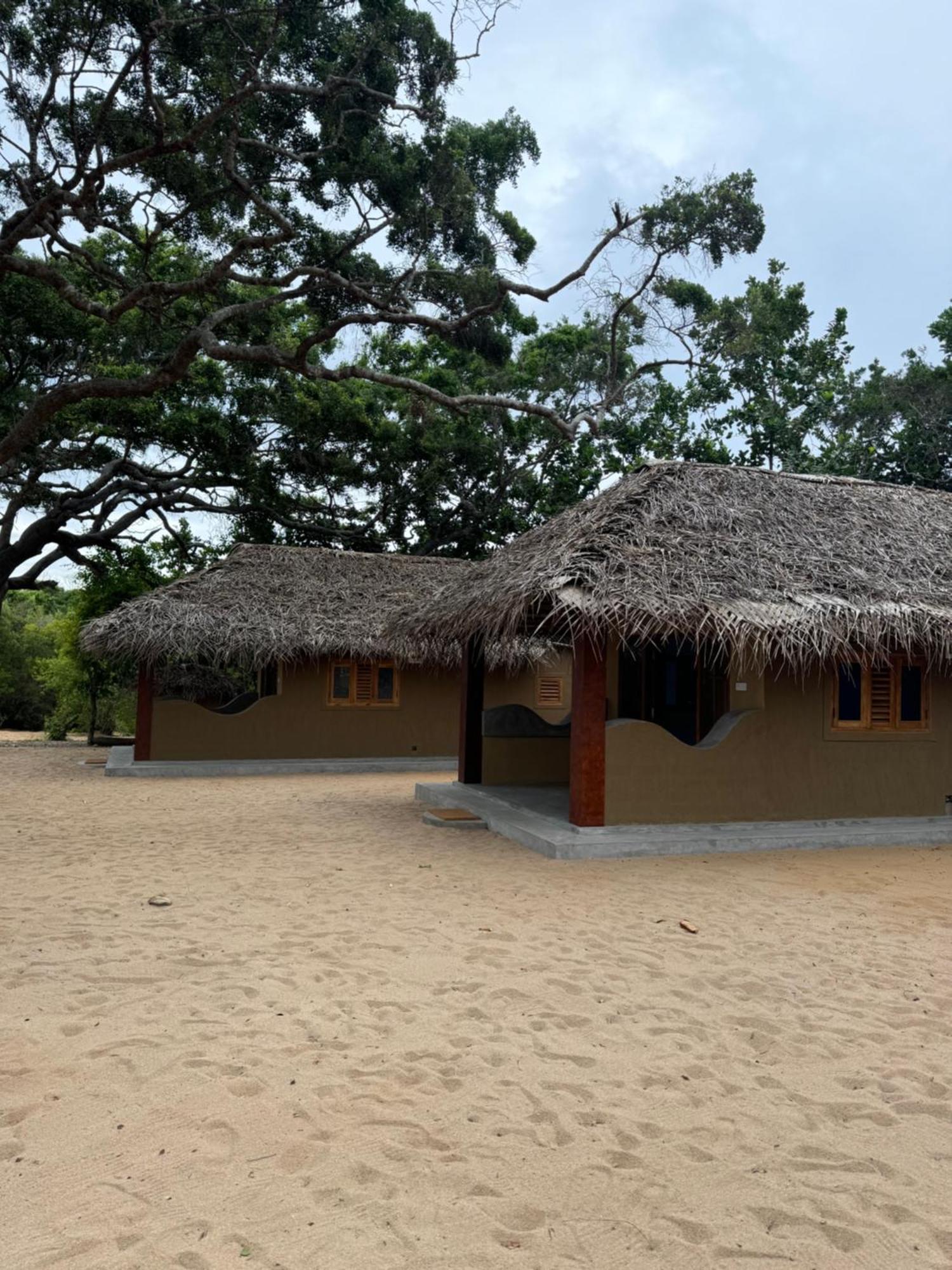 Peanut Farm Surf And Wild Resort - Arugambay Arugam Bay Luaran gambar
